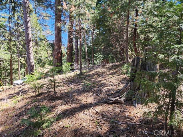 Crestline, CA 92325,0 Altdorf