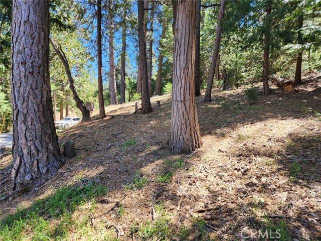 Crestline, CA 92325,0 Altdorf