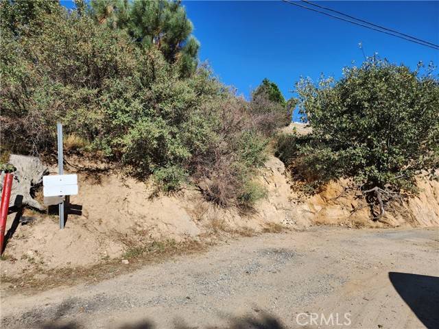 Cedar Glen, CA 92321,0 Balsam