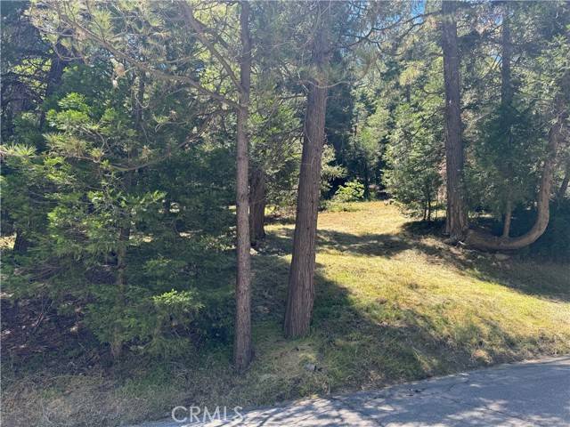 Crestline, CA 92325,0 Albrun