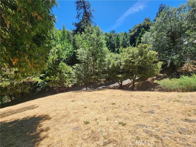 Crestline, CA 92325,24814 Edelweiss