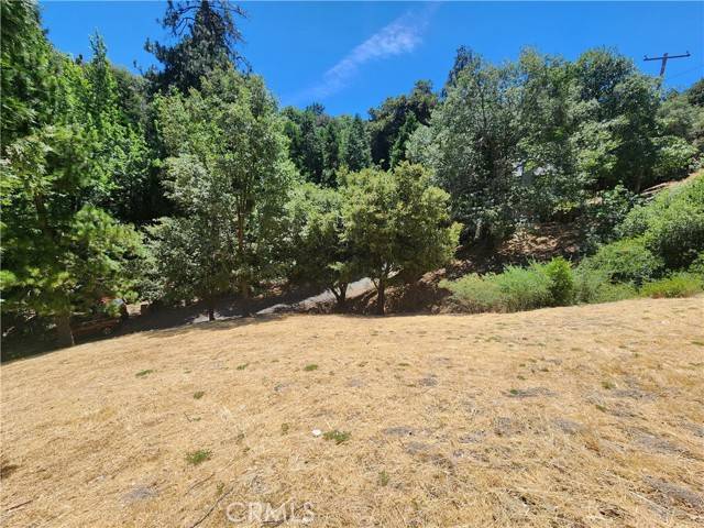 Crestline, CA 92325,24814 Edelweiss