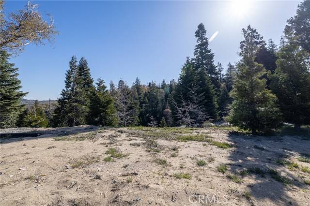 Lake Arrowhead, CA 92382,280 Ponderosa Peak Rd