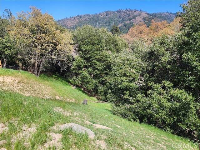 Crestline, CA 92325,327 Davos