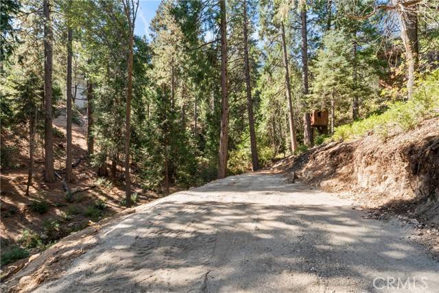 Lake Arrowhead, CA 92352,0 Thunderbird