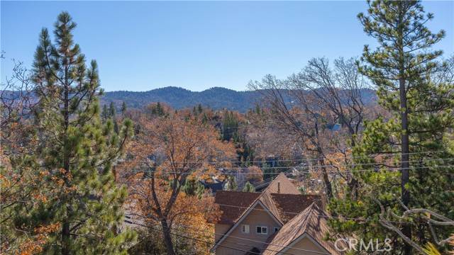 Lake Arrowhead, CA 92352,28204 Arbon Lane