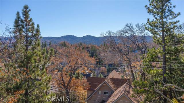 Lake Arrowhead, CA 92352,28204 Arbon Lane