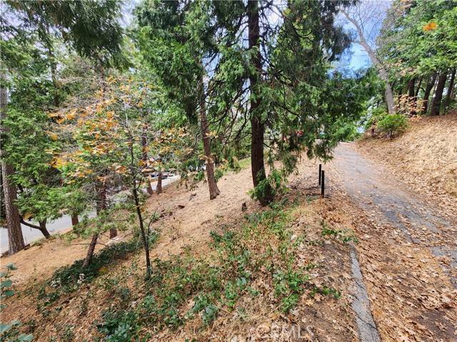 Crestline, CA 92325,0 Horst