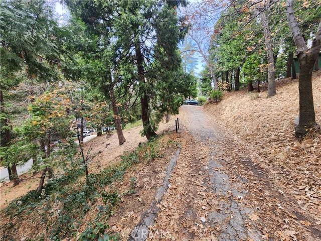 Crestline, CA 92325,0 Horst