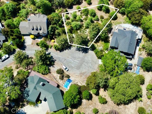 Lake Arrowhead, CA 92352,0 Black Oaks