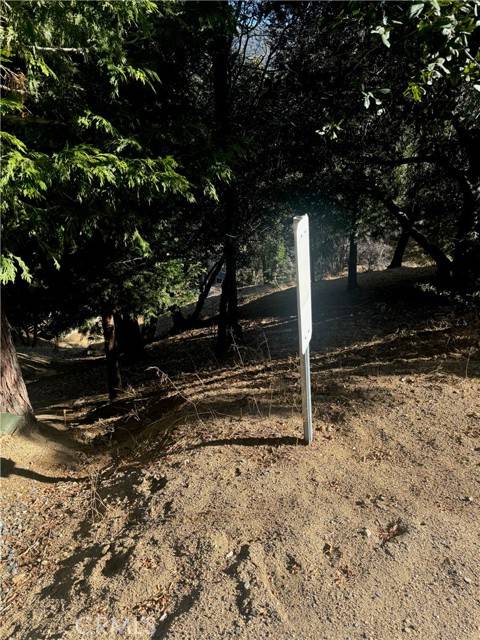 Crestline, CA 92325,267 Wylerhorn