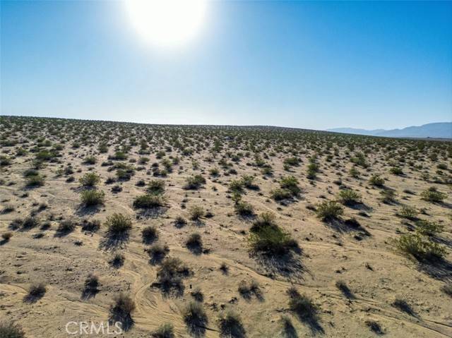 Joshua Tree, CA 92252,1962 Bourland Pass