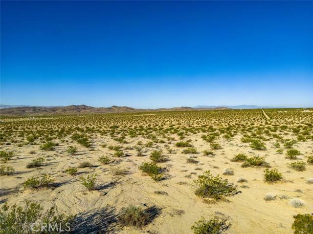 Joshua Tree, CA 92252,1962 Bourland Pass