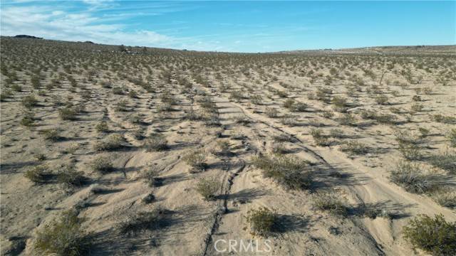 Joshua Tree, CA 92252,0 Sun Kist