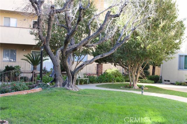 Glendale, CA 91202,600 W Stocker Street #303