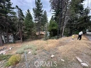 Rimforest, CA 92378,1231 Scenic way