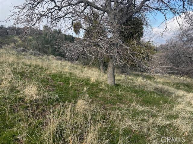 Keene, CA 93531,0 Hart Oaks Dr