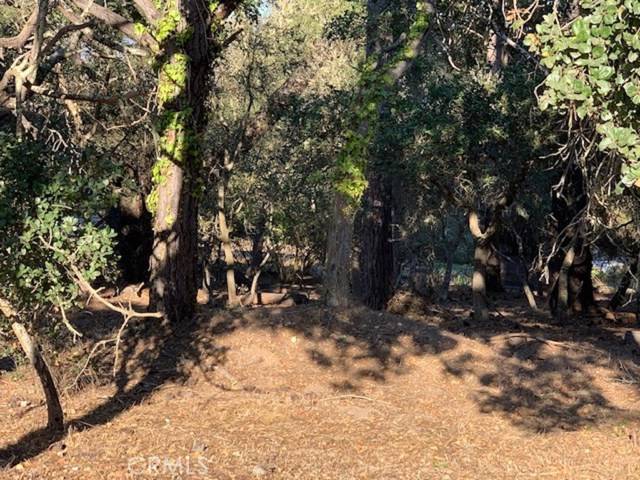 Cambria, CA 93428,0 Mills