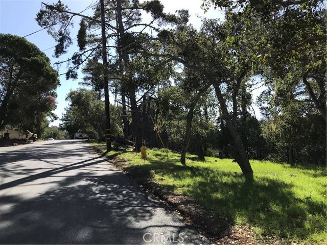 Cambria, CA 93428,0 Alban