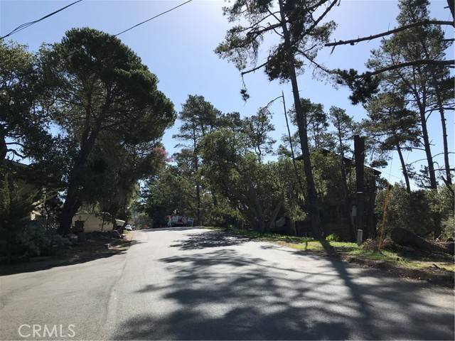 Cambria, CA 93428,0 Alban