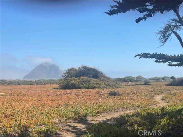 Morro Bay, CA 93442,201 Sienna Street