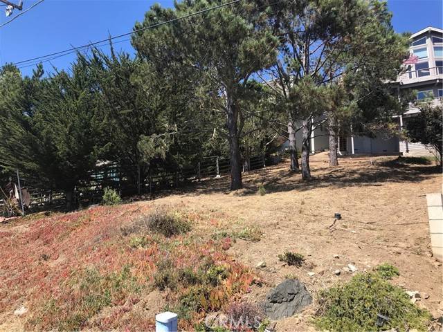 Cambria, CA 93428,0 Canterbury