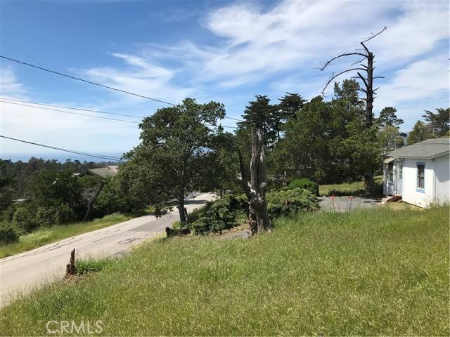 Cambria, CA 93428,0 Richard