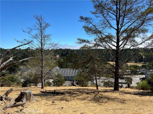 Cambria, CA 93428,4925 Grove