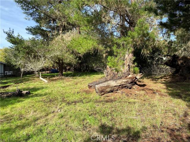 Cambria, CA 93428,0 Kenneth