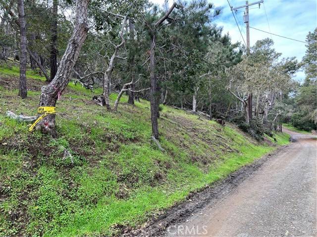 Cambria, CA 93428,0 Haddon