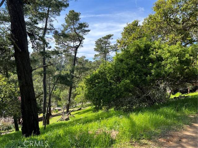 Cambria, CA 93428,1617 Pierce