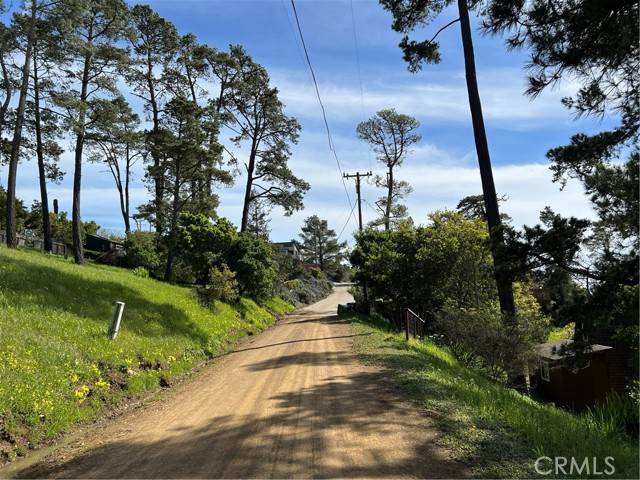 Cambria, CA 93428,1617 Pierce