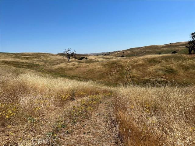 Shandon, CA 93461,3610 Shimmin Canyon