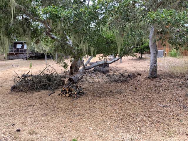 Cambria, CA 93428,0 Randall