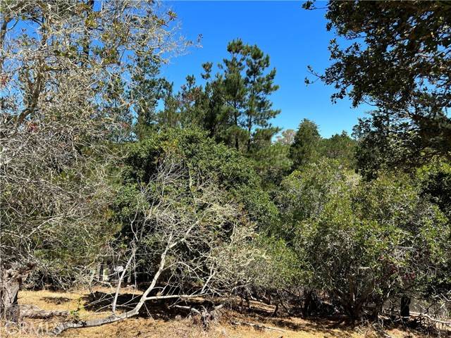 Cambria, CA 93428,0 Melrose