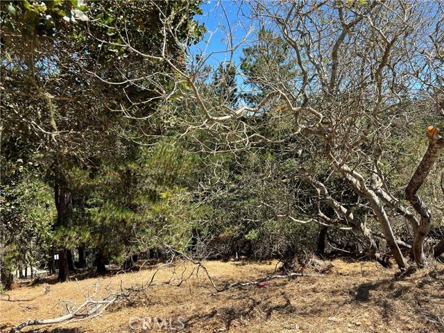 Cambria, CA 93428,0 Melrose