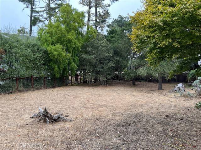 Cambria, CA 93428,0 Pineridge