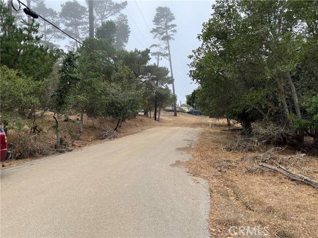 Cambria, CA 93428,0 Pineridge