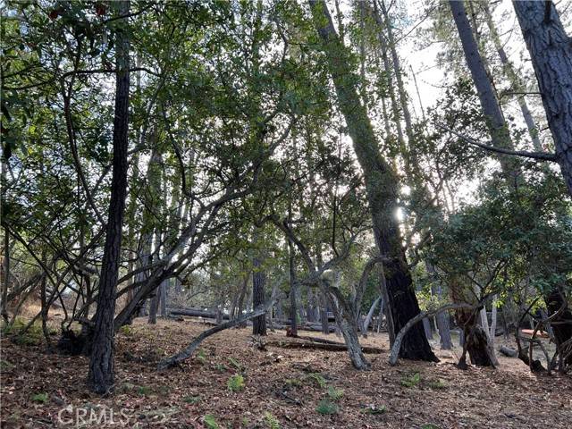 Cambria, CA 93428,0 Langton