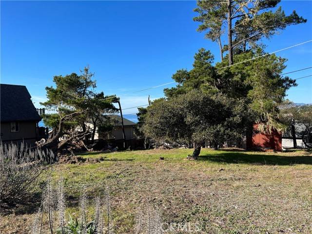 Cambria, CA 93428,0 Cambridge