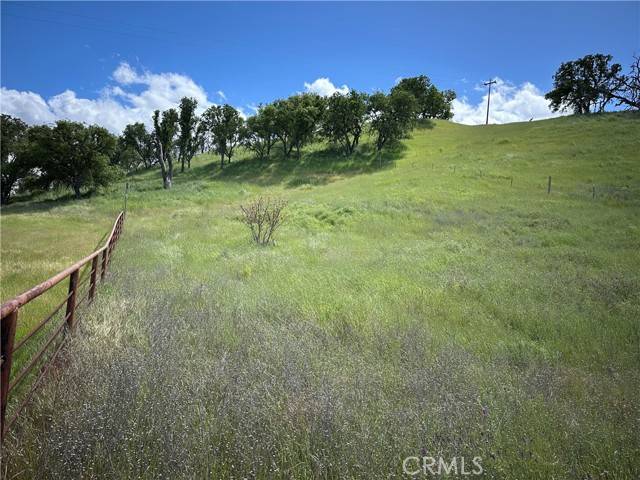 Paso Robles, CA 93446,7810 Blue Moon