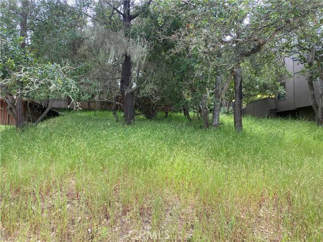 Cambria, CA 93428,0 Ardath