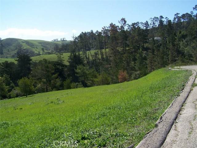 Cambria, CA 93428,0 Linden