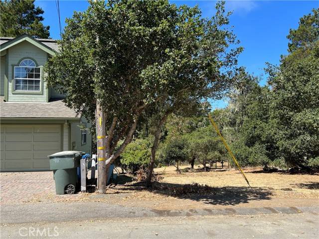 Cambria, CA 93428,2525 Camborne Place