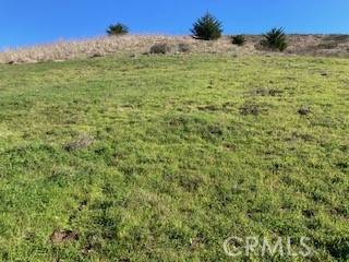 Cayucos, CA 93430,3254 Gilbert