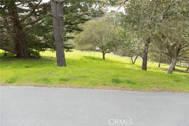 Cambria, CA 93428,0 Richard