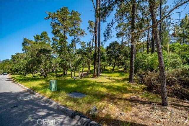 Cambria, CA 93428,6475 Kathryn