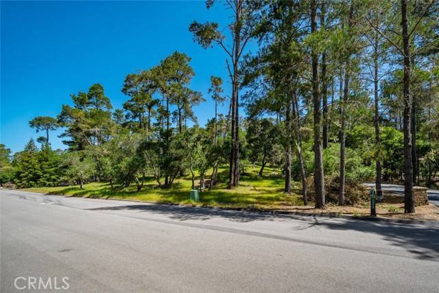 Cambria, CA 93428,6475 Kathryn