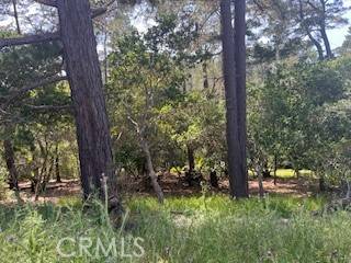 Cambria, CA 93428,0 Bradford