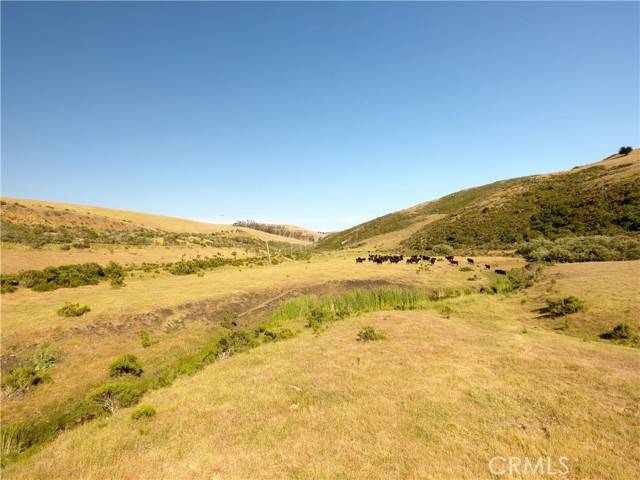 Cayucos, CA 93430,0 Ca-1